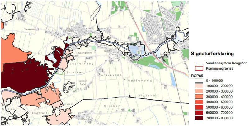 Fig. 5.1 Udsnit af risikokort i Kongeåens opland.